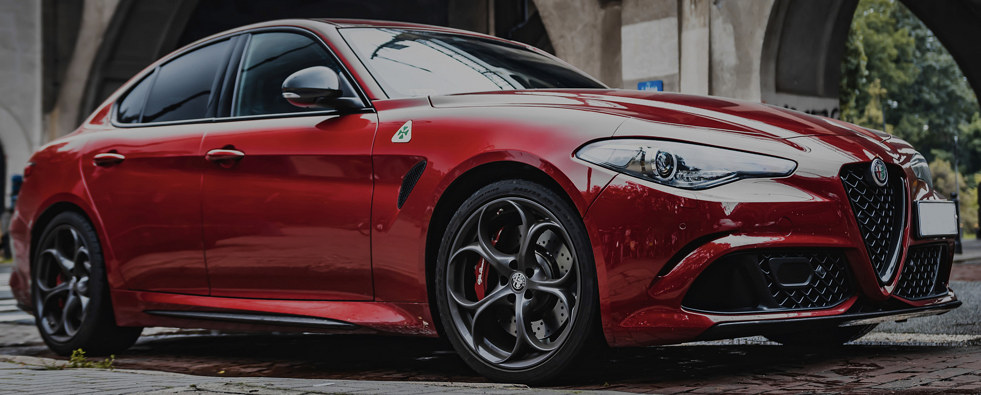 alfa specialist 2